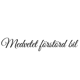 medvetet förstörd bil